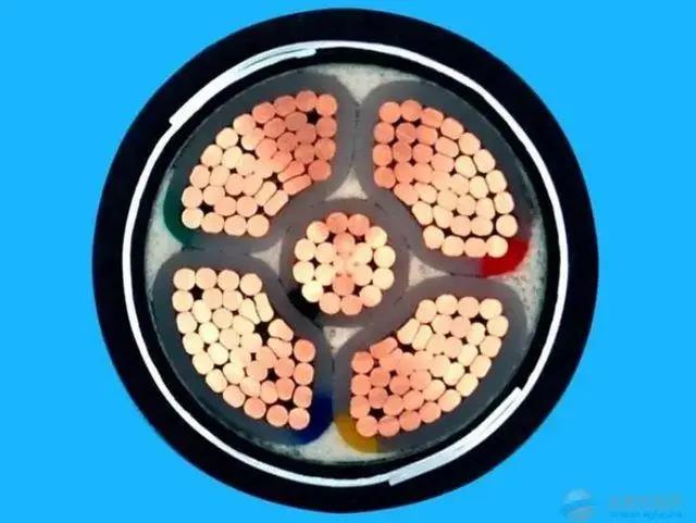 微信圖片_20220818093503 微信圖片_20220818093503