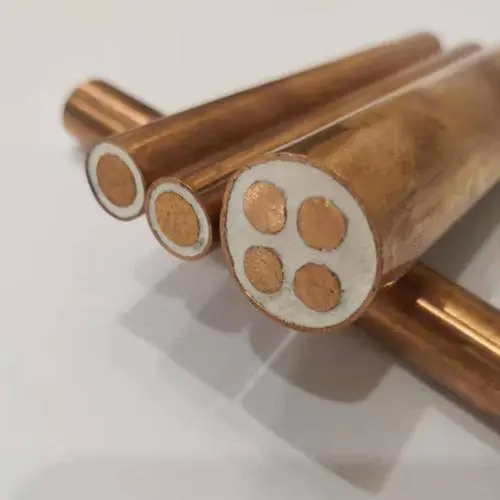 微信圖片_20231230124834 微信圖片_20231230124834